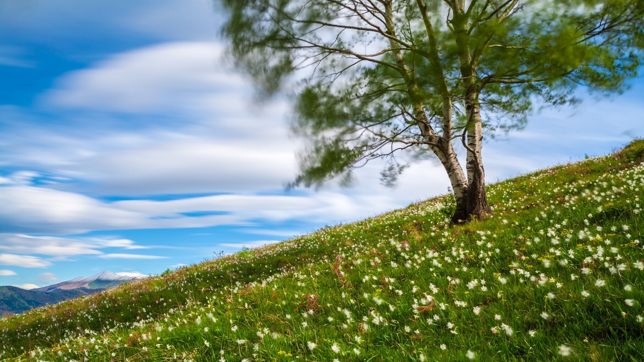 Vento di primavera sul Cornizzolo