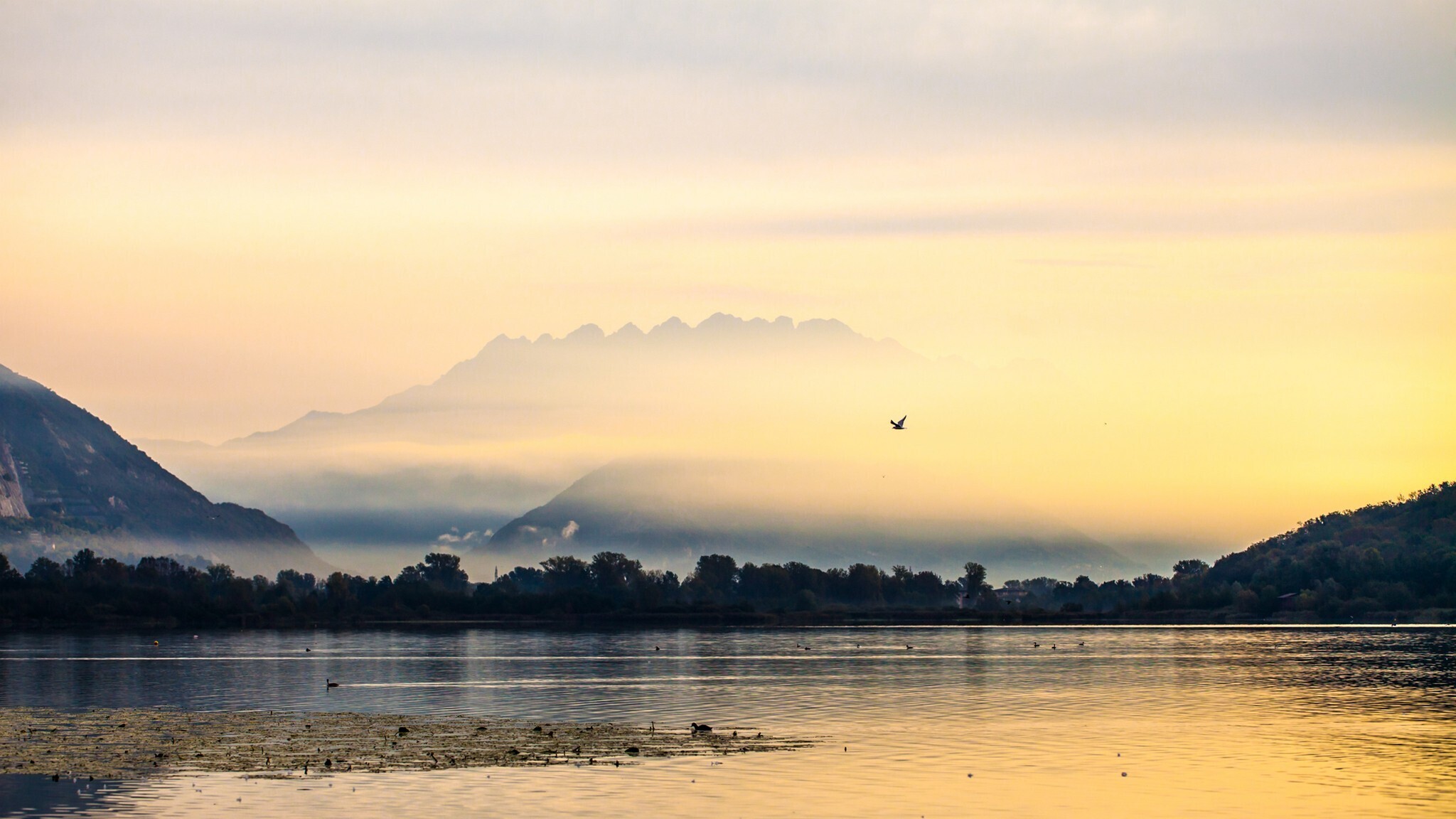 Resegone: sospeso nella nebbia dell\'alba