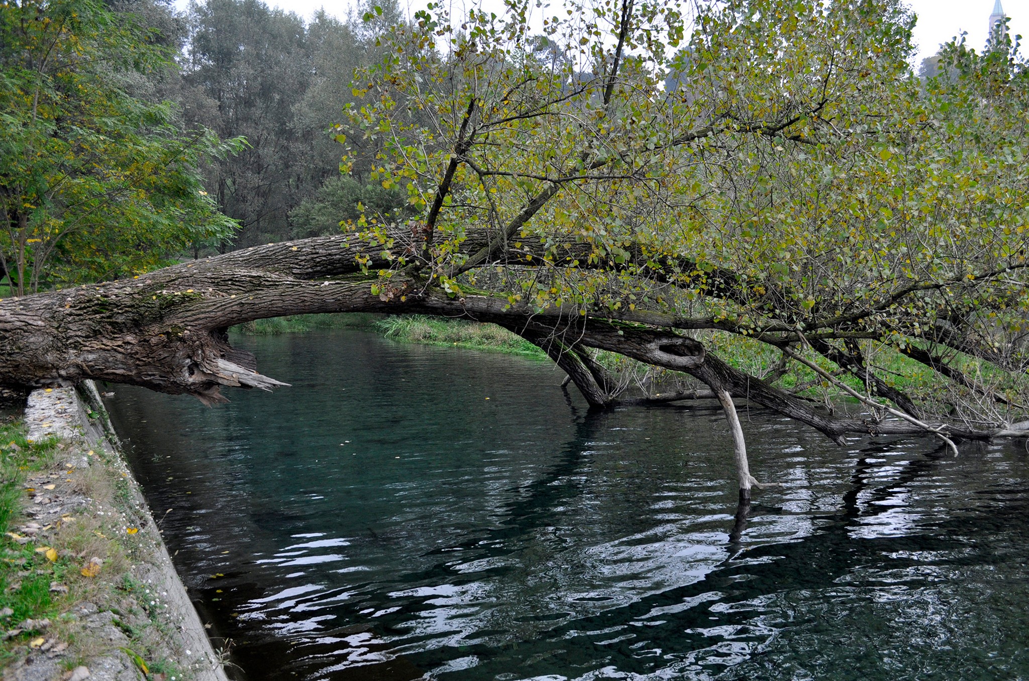 Acqua di Brianza 2