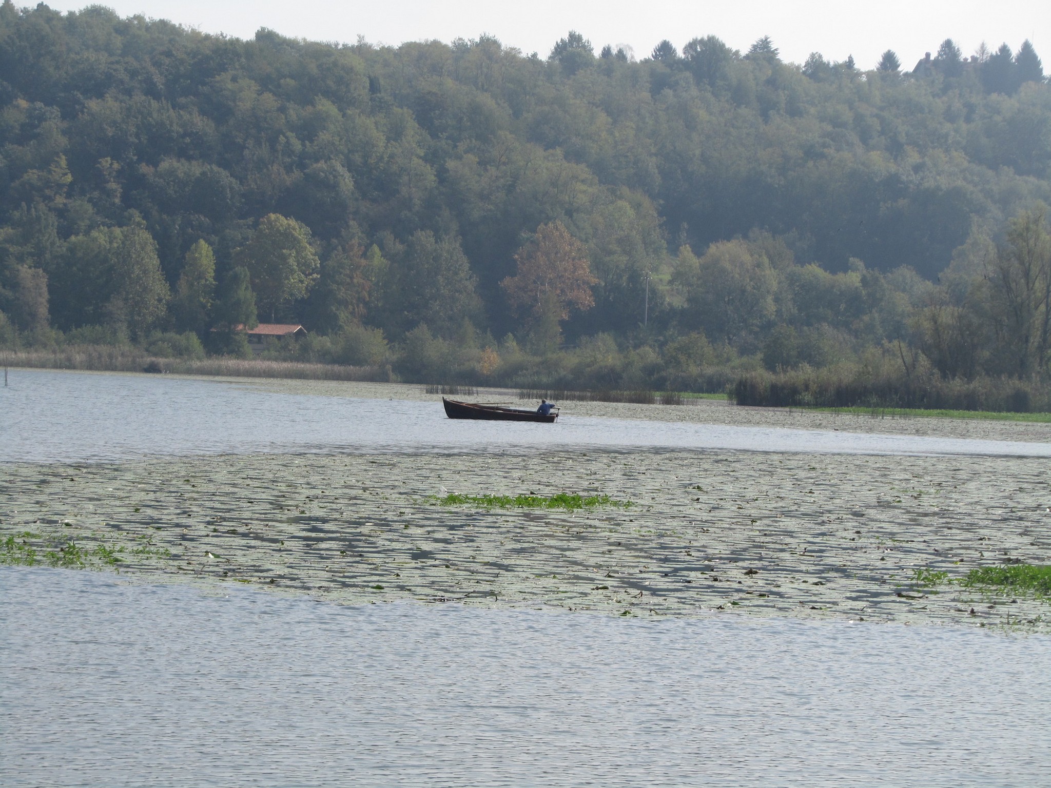 Il pescatore