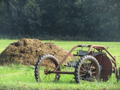 \"Nel campo verde, il rastrellone attende\"